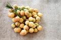 Burmese grape